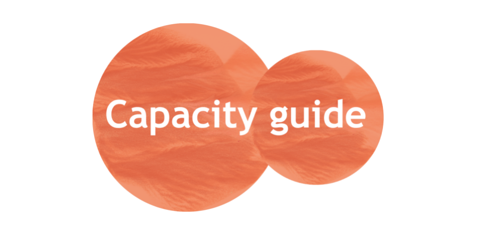 Capacity Guide