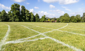 More Sport Organisations Show Their Commitment to Safeguarding Adults in Sport