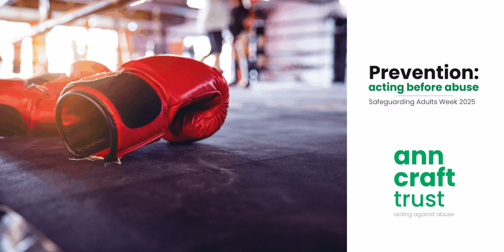 A Holistic Approach to the Prevention of Abuse in Sport.png